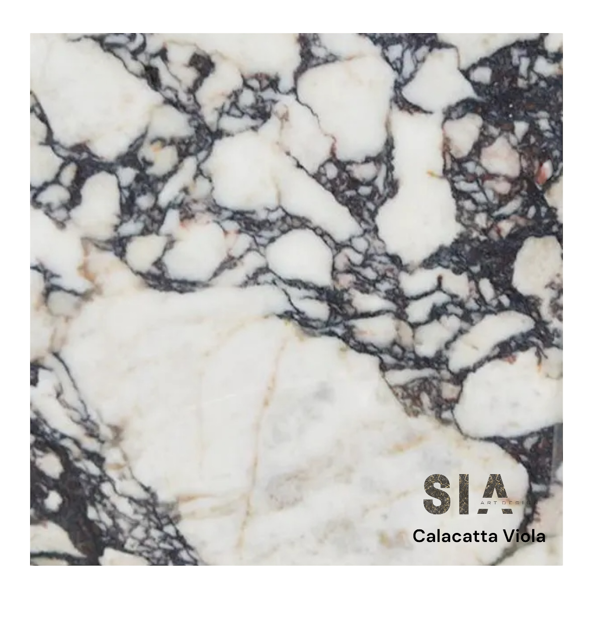 CALACATTA VİOLA