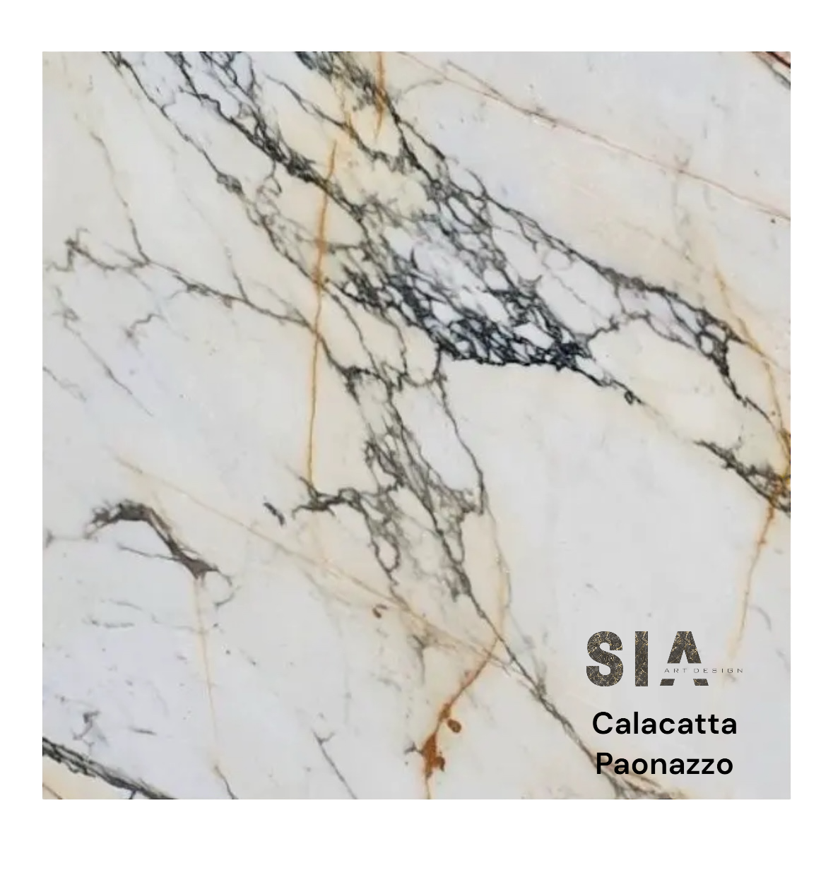 CALACATTA PAONAZZO