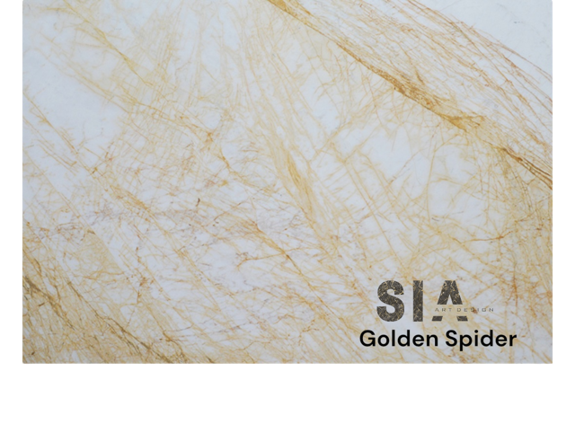 GOLDEN SPİDER